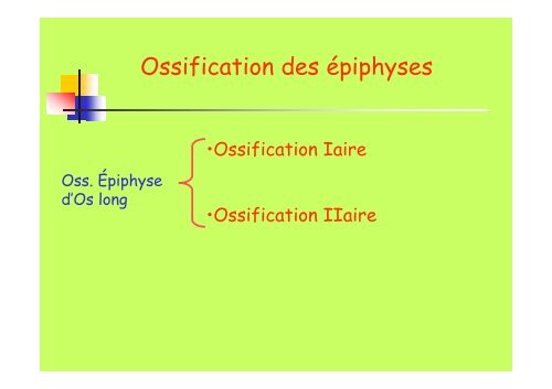 Tissu osseux et ossification