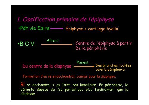 Tissu osseux et ossification