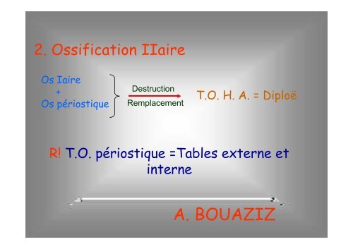 Tissu osseux et ossification