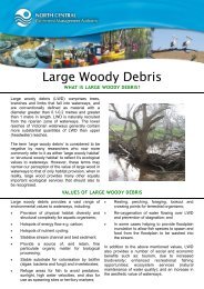 Large Woody Debris