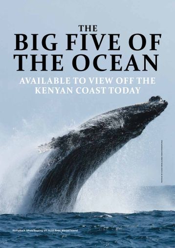 Pdf Cortana What Are The 5 Oceans hungry oceans pdf oceana Pdf Cortana What Are The 5 Oceans hungry oceans pdf oceana