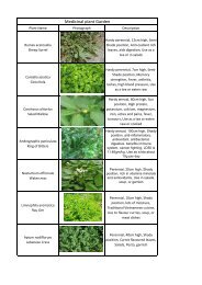 Medicinal Herbs.pdf