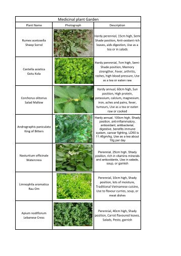 Medicinal Herbs.pdf