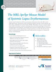 The MRL-lpr/lpr Mouse Model of Systemic Lupus Erythematosus