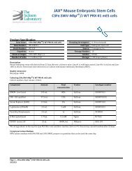 JAXÂ® Mouse Embryonic Stem Cells - JAX Mice and Services