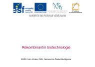 RekombinantnÃ­ biotechnologie
