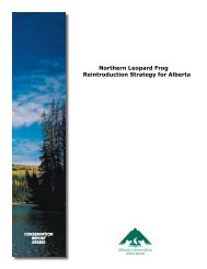 Northern Leopard Frog Reintroduction Strategy for Alberta