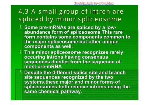 splice site