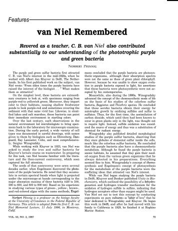 van Niel Remembered