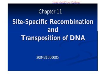 Site-Specific Recombination and Transposition of DNA