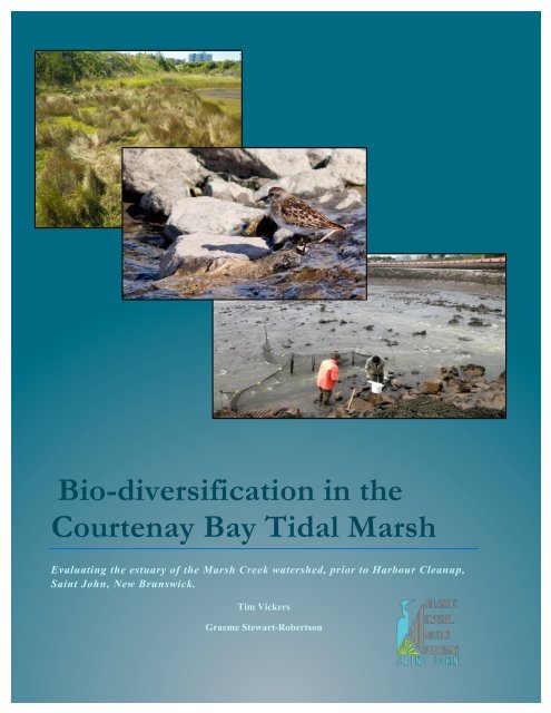 Bio-Diversification in the Courtenay Bay Tidal Marsh