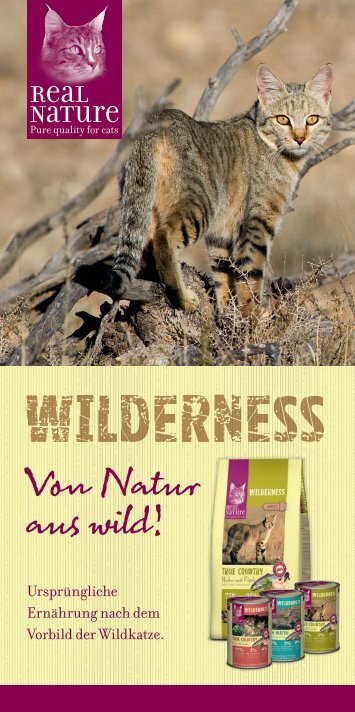 Real Nature Wilderness Katze