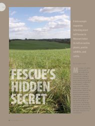 Fescue's Hidden Secret - Missouri Prairie Foundation