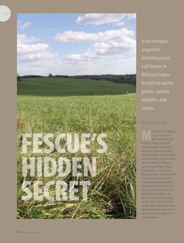 Fescue's Hidden Secret - Missouri Prairie Foundation