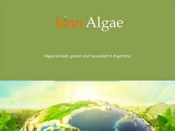 bion Algae