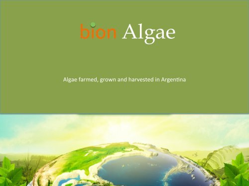 bion Algae