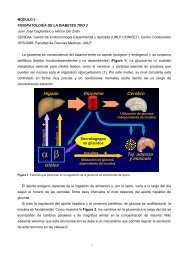 FisiopatologÃ­a de la Diabetes Tipo 2 - Hospital Privado