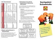 Schadstoffe-V01+RT.pdf - BFKDO Baden