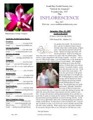 May 2007 - South Bay Orchid Society
