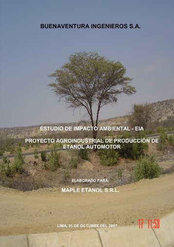 EIA Proyecto Etanol - Maple Energy