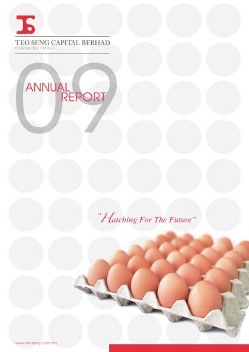 Annual Report 2009 - teo seng capital berhad