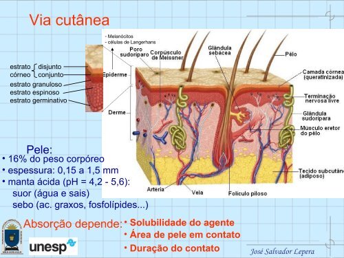 I CURSO DE EXTENSÃO EM HIGIENE OCUPACIONAL MÃ³dulo 2: Toxicologia ...