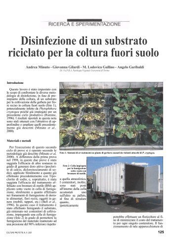 Disinfezione di un substrato riciclato per la coltura fuori suolo