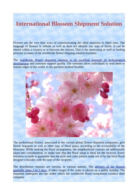 International Blossom Shipment Solution