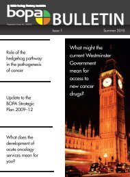 What might the current Westminster Government mean for ... - BOPA
