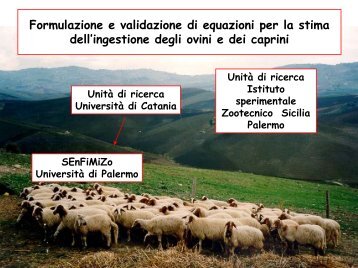 Formulazione e validazione di equazioni per la stima dell'ingestione ...