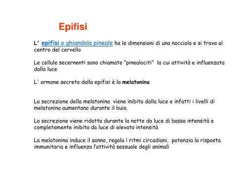 5. Apparato endocrino .pdf