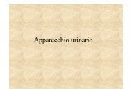 10. Apparato urinario .pdf