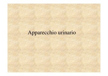 10. Apparato urinario .pdf