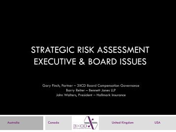 STRATEGIC RISK ASSESSMENT EXECUTIVE & BOARD ISSUES