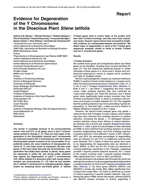 Evidence for Degeneration of the Y Chromosome in ... - ResearchGate