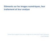 Elements sur les images numÃ©riques et ImageJ - silico.biotoul ...