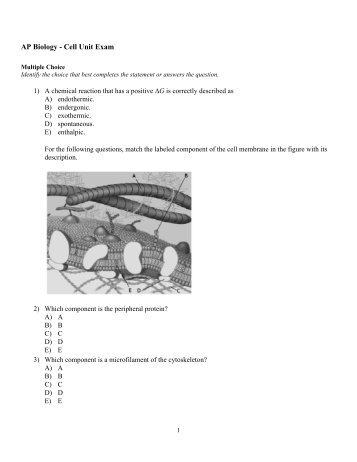 ExamView - 2011-2012 AP Biology Cell Unit Exam.tst