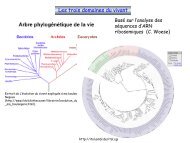 Introduction Ã  la biologie - silico.biotoul.frsilico.biotoul.fr