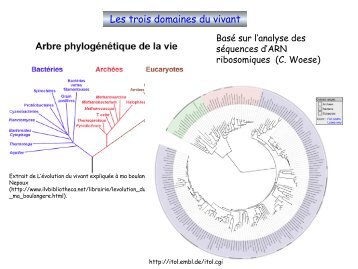 Introduction Ã  la biologie - silico.biotoul.frsilico.biotoul.fr