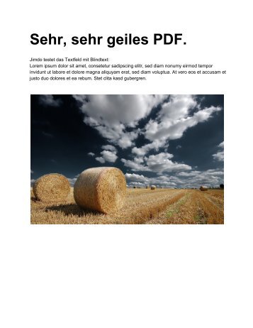 Sehr, sehr geiles PDF.