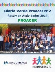 Diario Verde Proacer Nº2