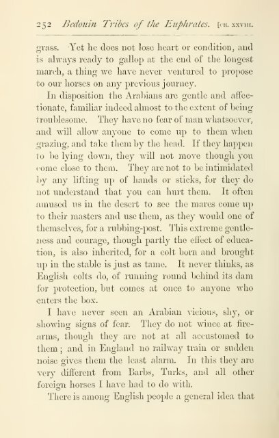 Bedouin Tribes of the Euphrates Vol 2 - The Search For Mecca