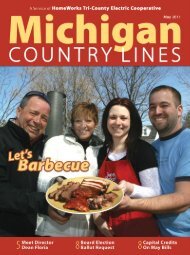 Electrical - Michigan Country Lines Magazine