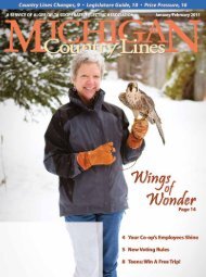 Alger Delta - Michigan Country Lines Magazine
