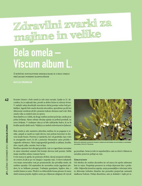 PljuÄnik - Å¡tevilka 4. Letnik 2012 (.pdf) - BolniÅ¡nica Golnik