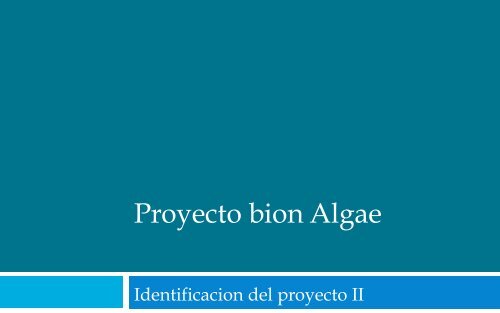 Proyecto bion Algae