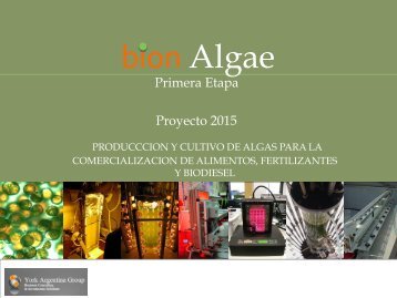 bion Algae