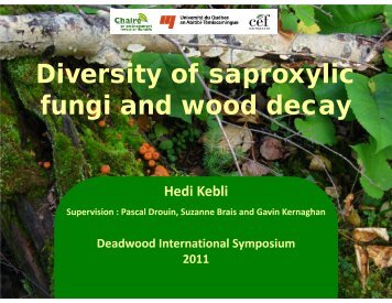 Diversity of saproxylic fungi and wood decay - International ...