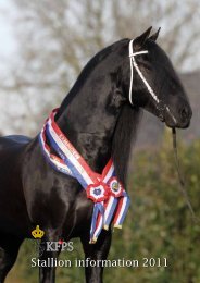 Stallion information 2011