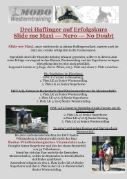 Drei Haflinger auf Erfolgskurs Slide me Maxi - MOBO Westerntraining